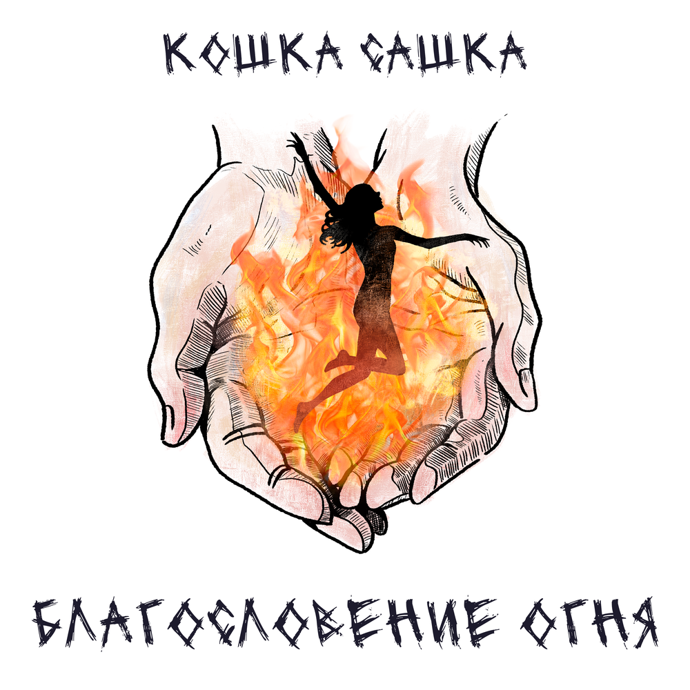 Кошка Сашка