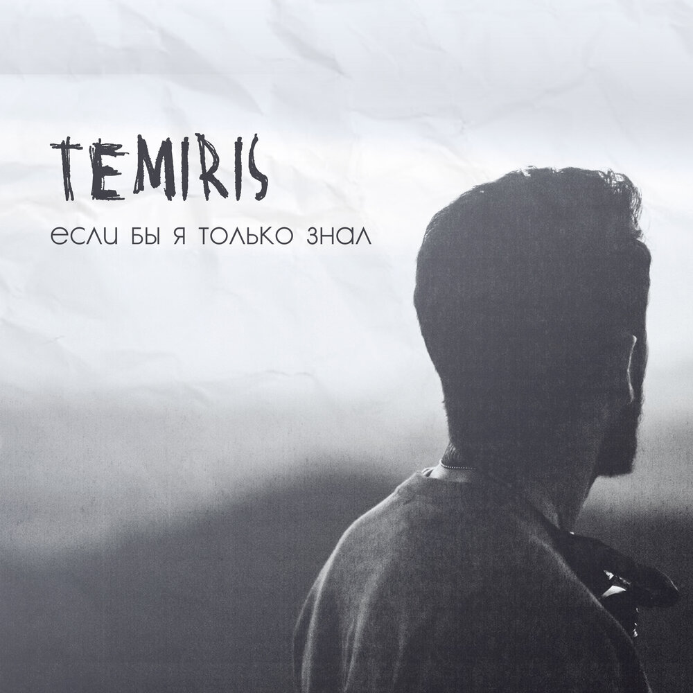 TemiRiS