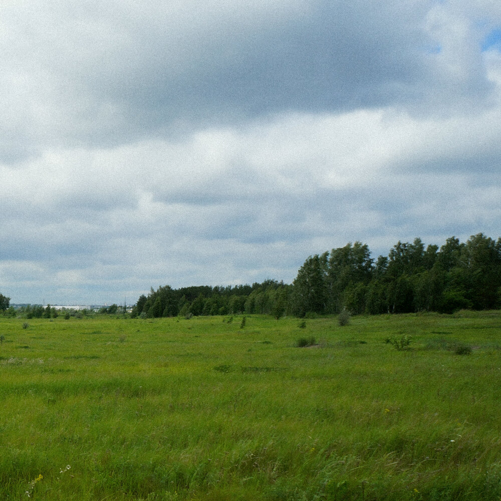 Trixeon