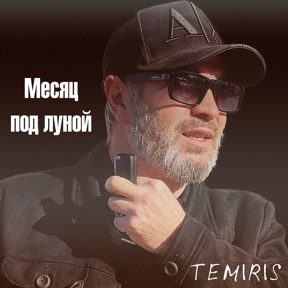 TemiRiS