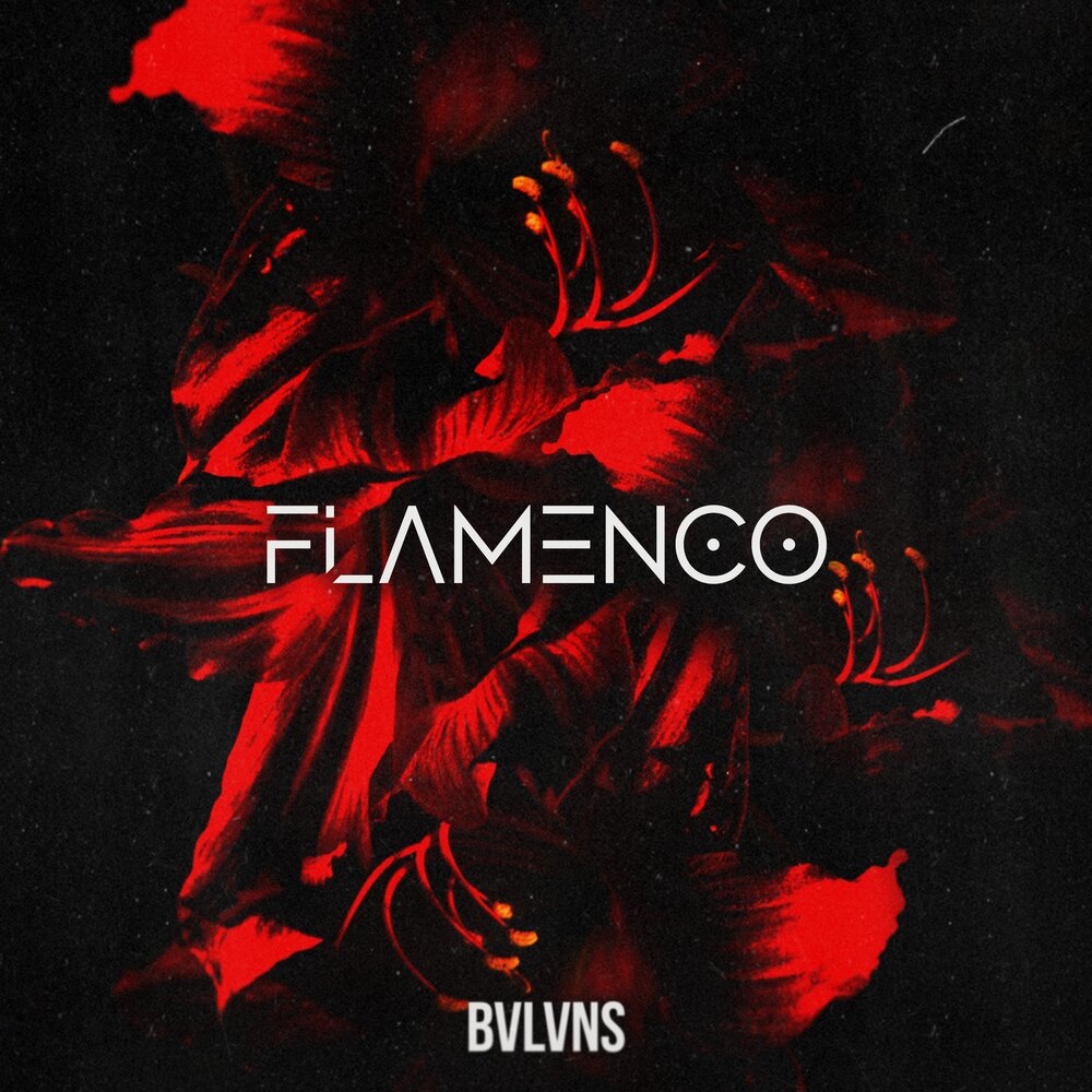 BVLVNS