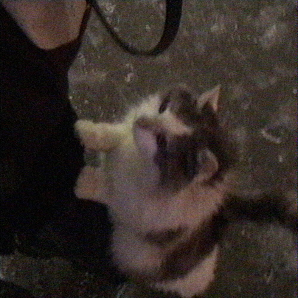 nleave, LXNYA