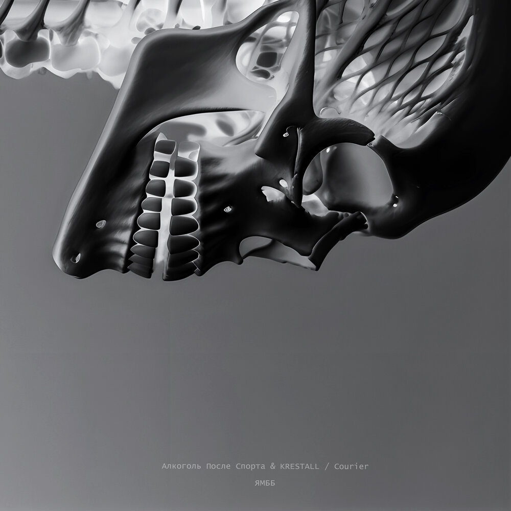Алкоголь После Спорта & KRESTALL / Courier