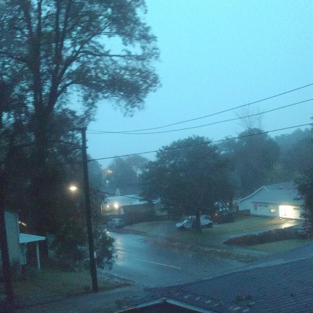 Autxmn love, SHINARI