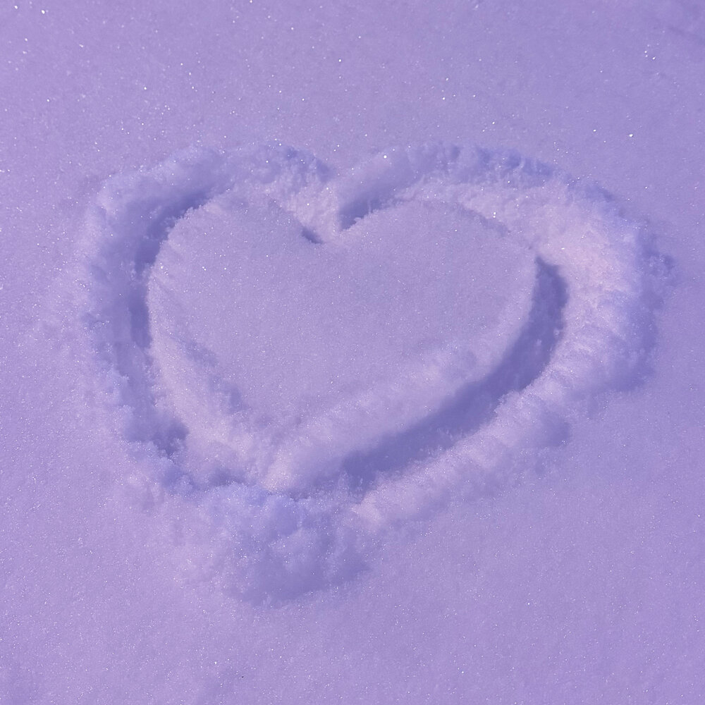 Алиса Полярная