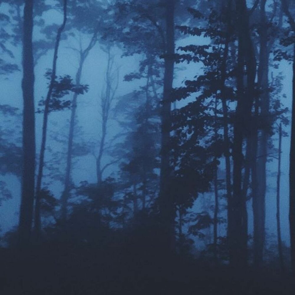 2003, noescape