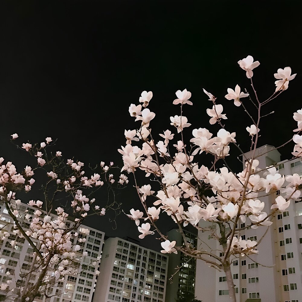 fadinglight