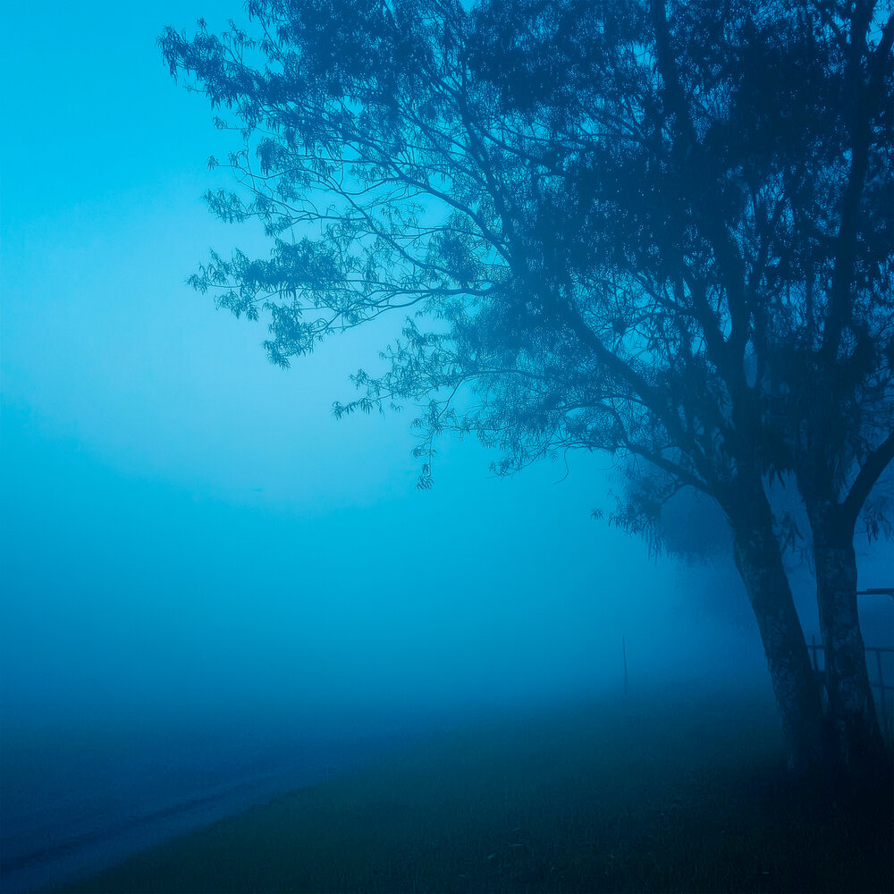 lonely.