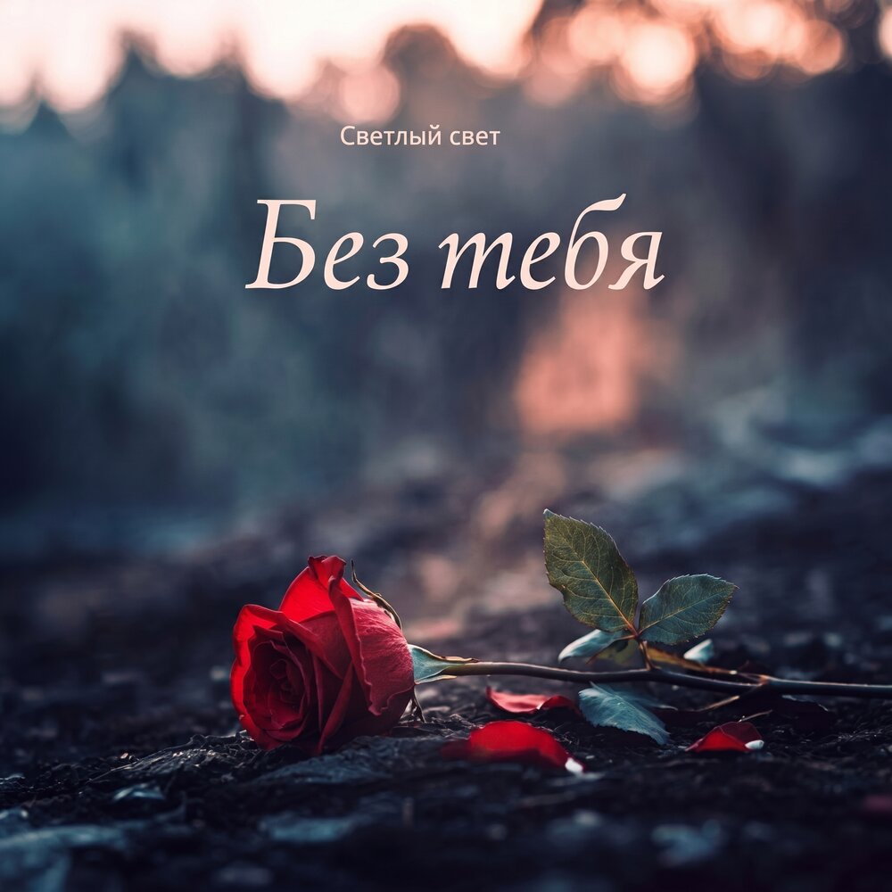 Светлый Свет