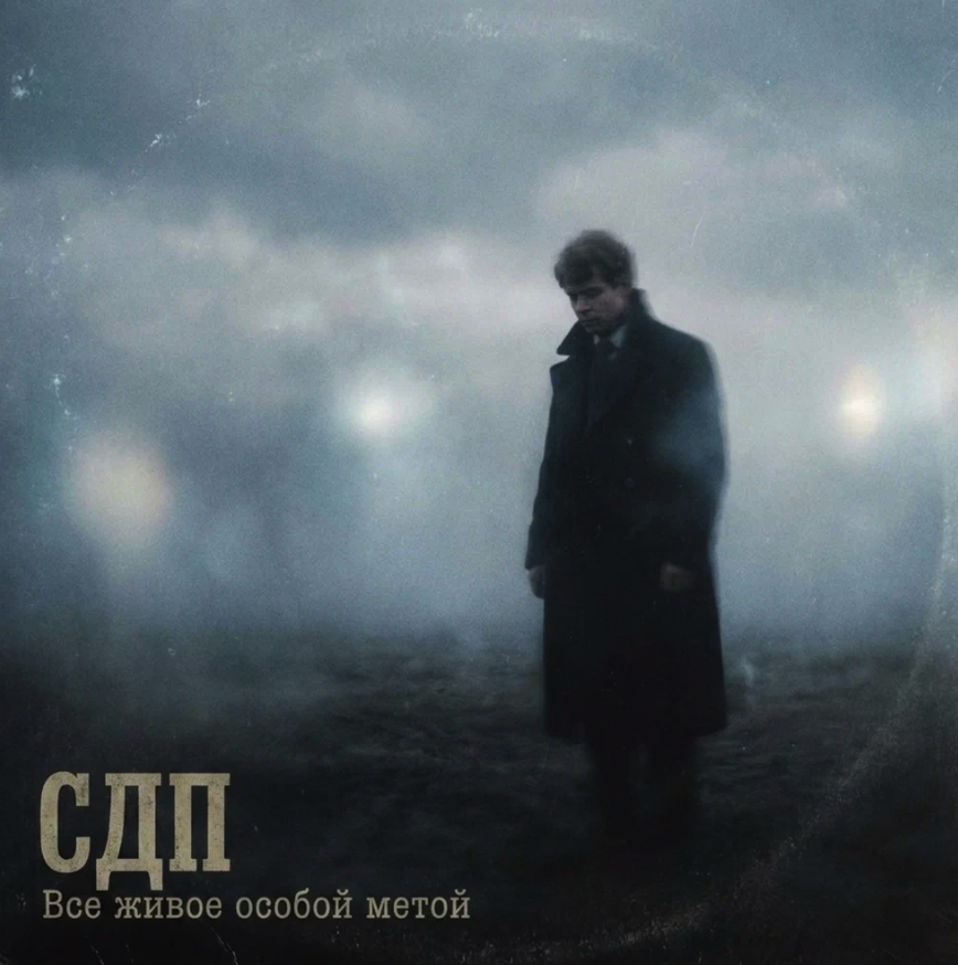 СДП
